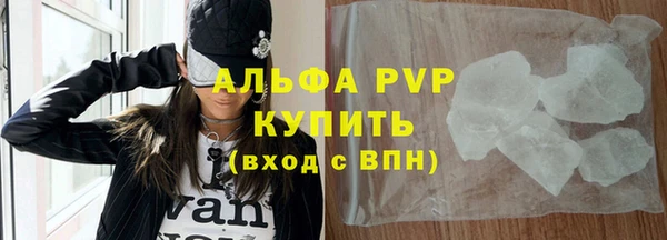 ПСИЛОЦИБИНОВЫЕ ГРИБЫ Козловка