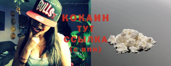 ПСИЛОЦИБИНОВЫЕ ГРИБЫ Козловка