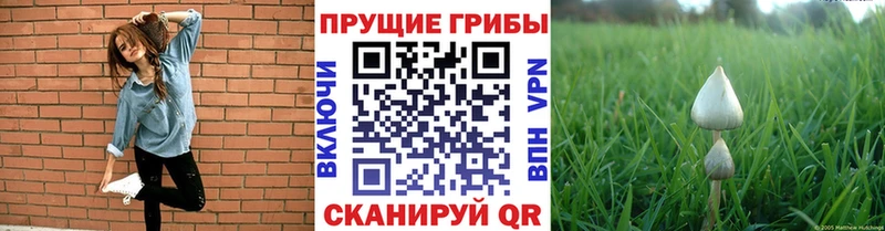 Псилоцибиновые грибы GOLDEN TEACHER  Ильский 